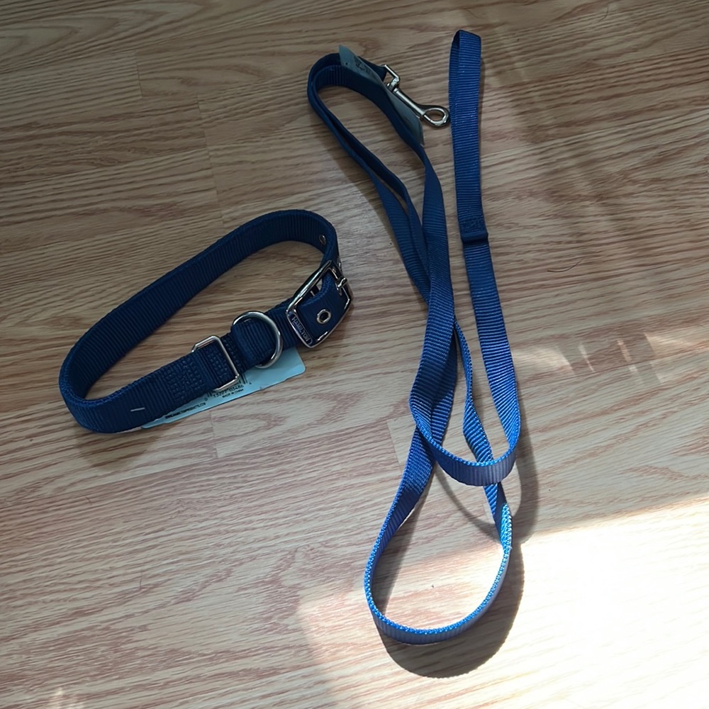 PET SUPPLIES -  Dog Bundle - Collars, Leash, Scarf